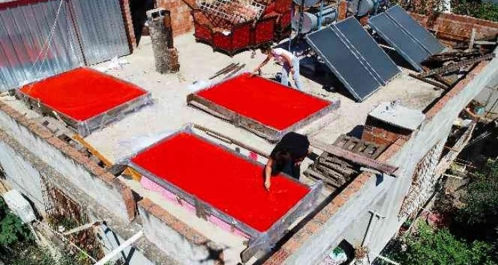 Adana’da salça sezonu başladı, damlar kırmızıya boyandı