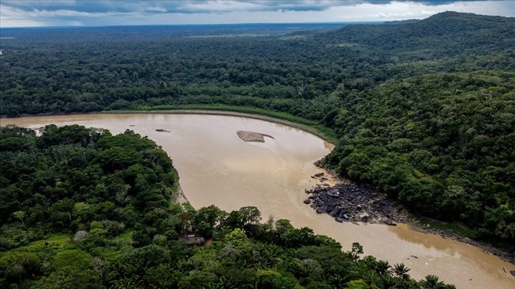 Brezilya polisi İngiliz gazeteci Dom Philips'in Amazonlarda öldürüldüğünü doğruladı