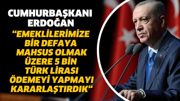 Cumhurbaşkanı Erdoğan: Emeklilere 5 bin lira ödenecek