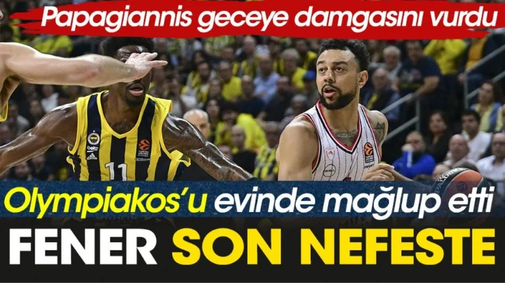 Fenerbahçe Olympiakos'a şans tanımadı. Papagiannis maça damgasını vurdu