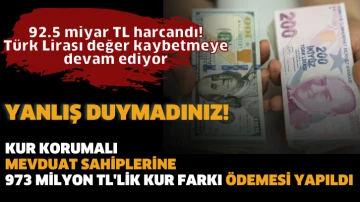 92.5 miyar TL harcandı! Türk Lirası değer kaybetmeye devam ediyor