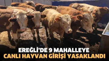 Ereğli'de 9 mahalleye canlı hayvan girişi yasaklandı