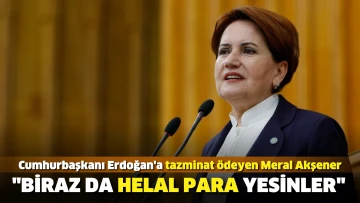 Cumhurbaşkanı Erdoğan'a tazminat ödeyen Meral Akşener: Biraz da helal para yesinler