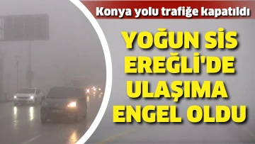 Yoğun sis Ereğli'de ulaşıma engel oldu