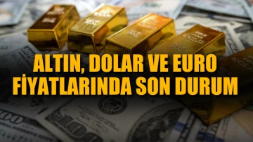 Altın, dolar ve euro fiyatlarında son durum