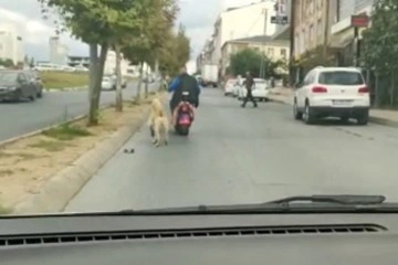 Arnavutköy’de köpeği motosikletine bağlayarak götüren şahsa tepki