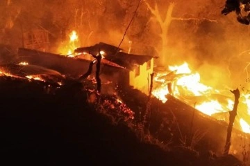 Artvin’de çıkan yangında 3 ev yandı, 14 büyükbaş hayvan telef oldu