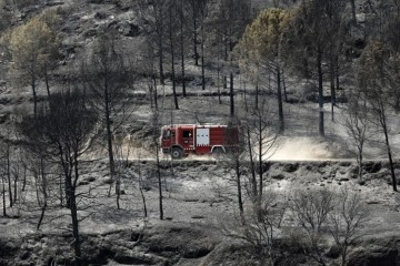 Avrupa’da kırmızı alarm! Orman yangınları söndürülemiyor