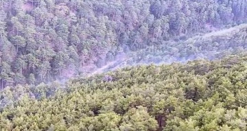 Aydın’daki orman yangını söndürüldü