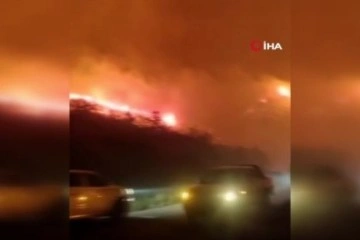Azerbaycan’da farklı noktalarda orman yangını