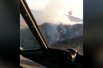 Azerbaycan’daki orman yangınlarında 5 bin hektarlık alan küle döndü