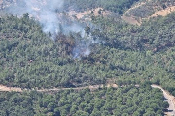 Balıkesir'de korkutan orman yangını