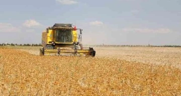Başkan Altay: “Kurak arazilerde aspir üretiminin yaygınlaşması için çalışıyoruz”