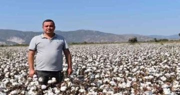 Başkan Çondur: “Fiyatlarla birlikte pamuk ekim alanları da arttı”