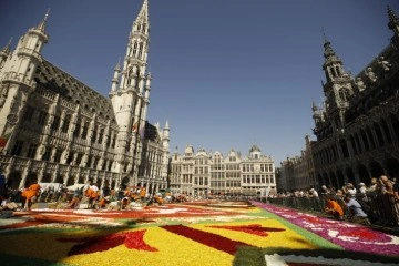 Belçika'nın geleneksel 'çiçek halısı' 4 yıl sonra yeniden döşendi