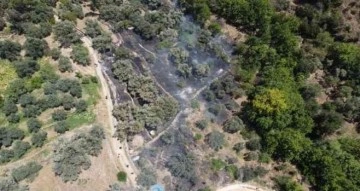 Bozdoğan’daki zirai alandaki yangın söndürüldü