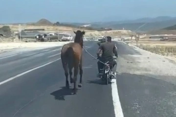Bursa’da atı motosiklete bağlayarak götürdü