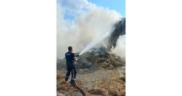 Bursa’da hayvan çiftliğinde yangın