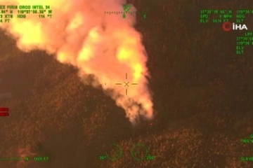 California'daki orman yangını, dev sekoya ağaçlarını tehdit ediyor