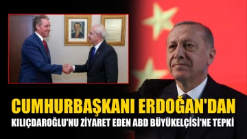 Cumhurbaşkanı Erdoğan'dan Kılıçdaroğlu'nu ziyaret eden ABD Büyükelçisi'ne tepki 