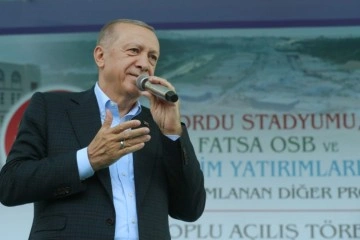 Cumhurbaşkanı Erdoğan fındık alım fiyatını açıkladı: 'Ortalaması 54 TL'