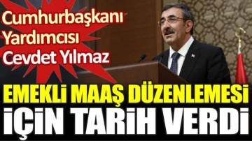 Cumhurbaşkanı Yardımcısı Cevdet Yılmaz emekli maaşı düzenlemesi için tarih verdi