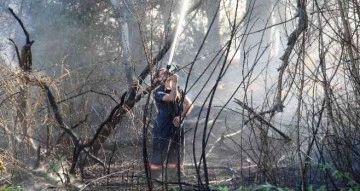 Elazığ’da ağaçlık alandaki yangın söndürüldü