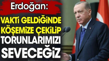 Erdoğan: Vakti geldiğinde köşemize çekilip torunlarımızı seveceğiz