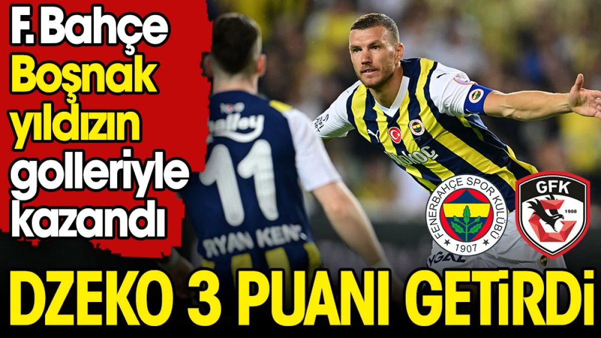 Fenerbahçe Dzeko'nun golleriyle kazandı