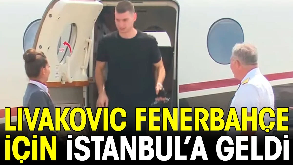 Fenerbahçe'nin yeni transferi Livakovic İstanbul'a geldi