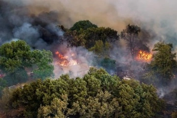 Fransa’daki orman yangını 7 bin 400 hektar alanı küle çevirdi