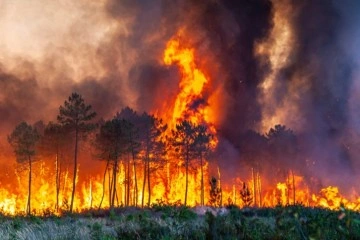 Fransa’daki orman yangınları 6’ıncı gününde