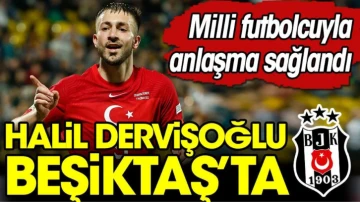 Halil Dervişoğlu Beşiktaş'ta