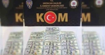 Iğdır’da dolar gasp ettiği öne sürülen şüpheli Erzincan’da yakalandı
