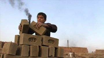 ILO'dan dünyada çocuk işçi sayısında artış uyarısı