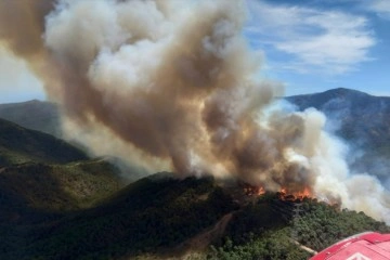İspanya'da orman yangını: 3 yaralı