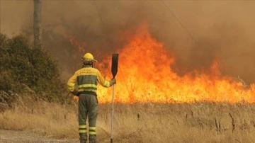 İspanya'da orman yangınlarıyla mücadele eden kişi alevlerden sağ çıktı