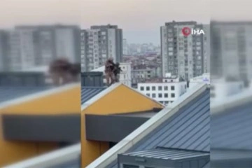 İstanbul'da gasp çetesine film gibi operasyon: Kaçarken çatıda yakalandı