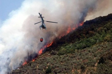 İtalya'da orman yangınlarında yaklaşık 400 hektar alan kül oldu
