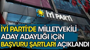 İYİ Parti'de milletvekili aday adaylığı başvuru şartları açıklandı