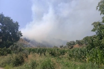 İzmir'de ormanlık alanda yangın!