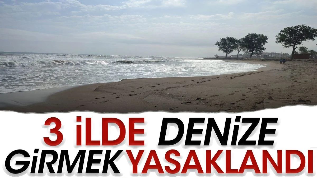 Kocaeli, Sakarya ve Zonguldak'ta denize girmek yasaklandı