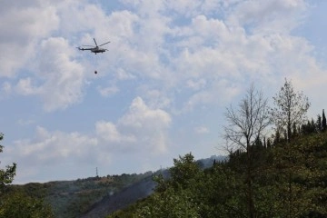 Kocaeli'de orman yangınına helikopterle müdahale sürüyor
