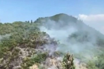 Kocaeli'deki orman yangını kontrol altına alındı