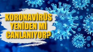Koronavirüs yeniden mi canlanıyor?