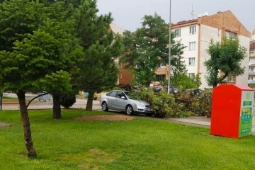 Kuvvetli rüzgar nedeniyle park halindeki otomobilin üzerine ağaç devrildi