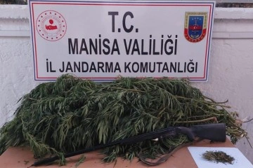 Manisa'da uyuşturucu operasyonları: 1 kişi tutuklandı