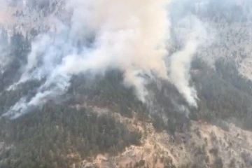 Mersin'deki orman yangınına müdahale ediliyor