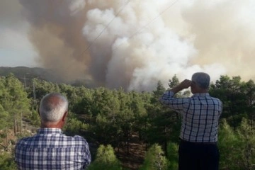Muğla-Denizli sınırındaki orman yangını devam ediyor