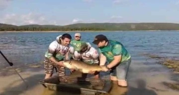 Ömerli Barajı’nda oltaya takılan dev sazan balığı görenleri şaşırttı